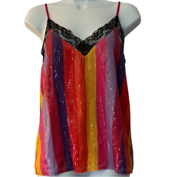 Olivia Rubin Flora Cami Pre Fall Stripe Sequin Lace Camisole Top Size 6 NEW NWT - Picture 3 of 12